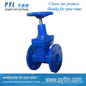 [PYL] Chine fabricant professionnel souple souple flexible en fonte ductile vente chaude